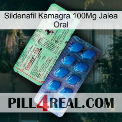 Sildenafil Kamagra 100Mg Oral Jelly new02